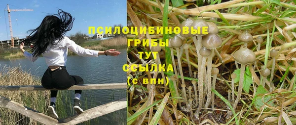 меф Дмитров