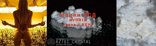 прущие грибы Дмитриев