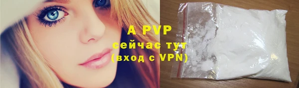 прущие грибы Дмитриев