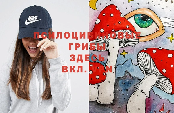 прущие грибы Дмитриев