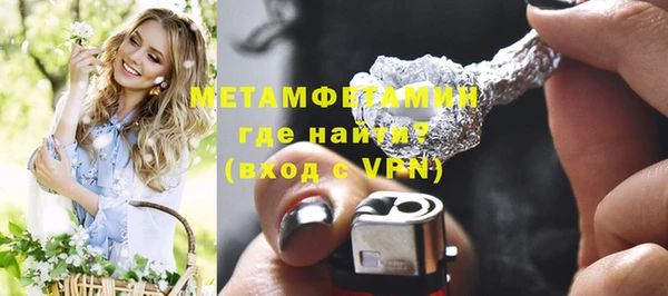 прущие грибы Дмитриев