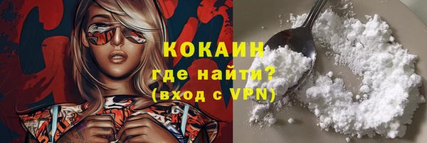 прущие грибы Дмитриев