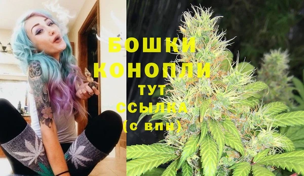 mdpv Гусев