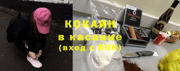 прущие грибы Дмитриев